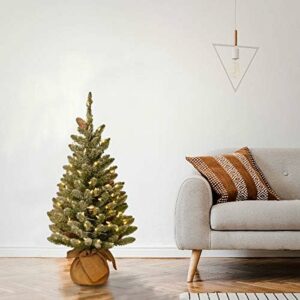 National Tree Company Pre-lit Artificial Mini Christmas Tree | Includes Small White LED Lights and Cloth Bag Base | Snowy Concolor Fir Burlap - 3 ft, Brown/Green - Image 3