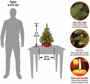 National Tree Company Pre-lit Artificial Mini Christmas Tree | Includes Small Lights and Cloth Bag Base | Majestic Fir - 2 ft - Image 3