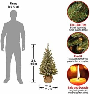 National Tree Company Pre-lit Artificial Mini Christmas Tree | Includes Small White LED Lights and Cloth Bag Base | Snowy Concolor Fir Burlap - 3 ft, Brown/Green - Image 2