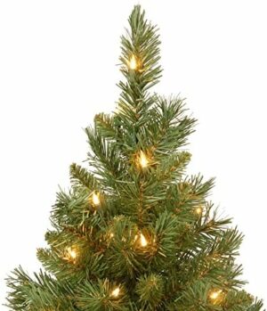 National Tree Company Pre-lit Artificial Mini Christmas Tree | Includes Small Lights and Cloth Bag Base | Majestic Fir - 2 ft - Image 2