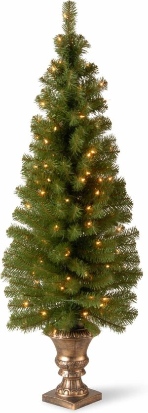 National Tree Company Pre-lit Artificial Christmas Tree For Entrances | Includes Pre-strung White Lights and Stand | Montclair Spruce - 5 ft