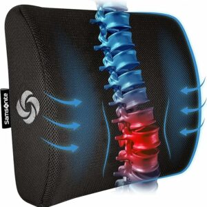 Lumbar Pillows