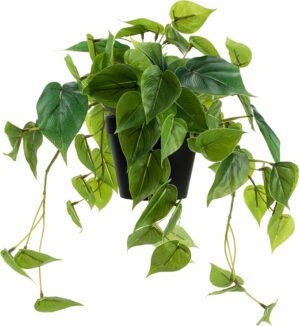 Artificial Scindapsus Aureus, Realistic Fake Plant with Plastic Pot for Home Office Garden Decoration 1 Pack(8in H)